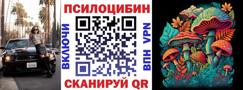 Купить  Куса  Галлюциногенные грибы MAGIC MUSHROOMS 