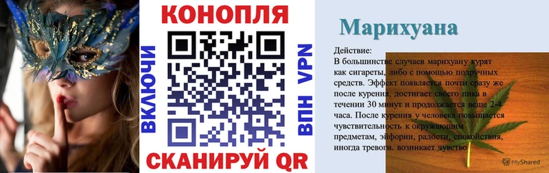 Каннабис сатива  Купить  Куса 
